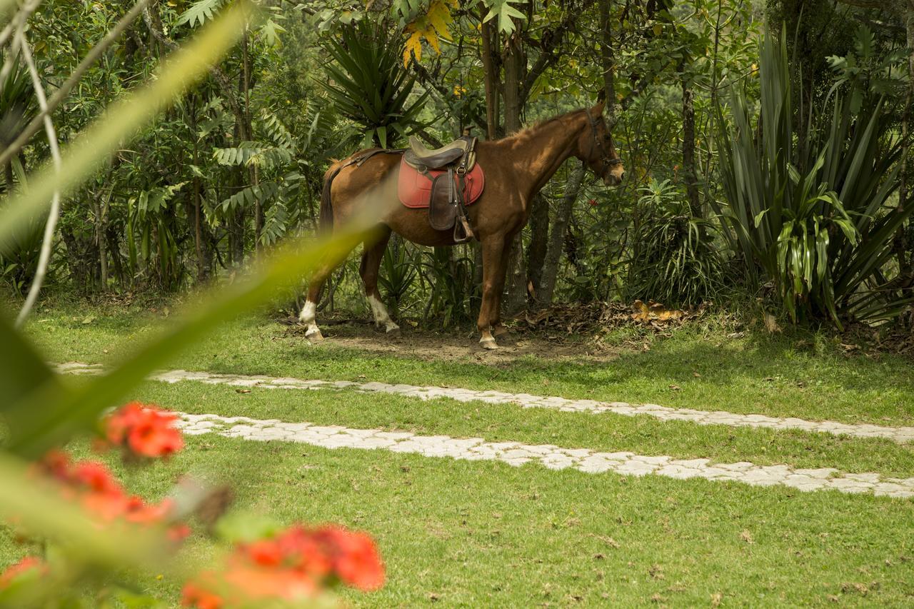 Estancia De La Campina Nono エクステリア 写真